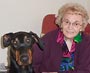 Therapy Dobermanns